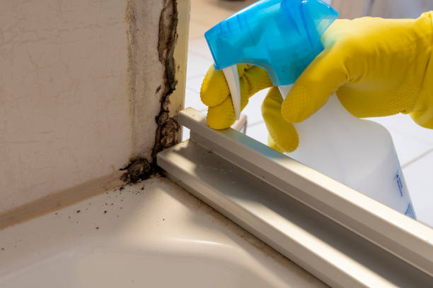 Best Home Mold Removal  in Middletown, DE