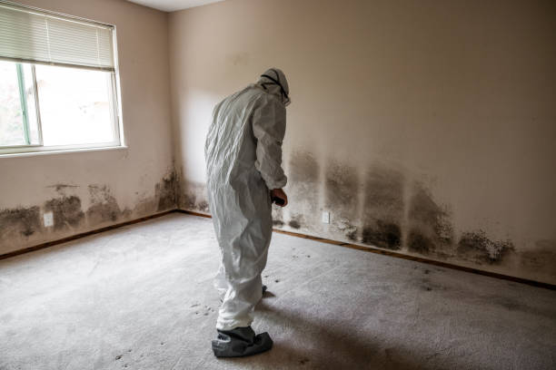 Best Professional Mold Removal  in Middletown, DE